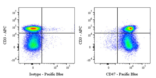 Pacific Blue Mouse Anti-Rat CD47 Antibody (OX-101)