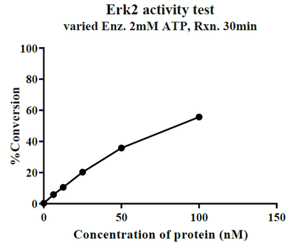 ERK2 Flag&His Tag Protein, Human
