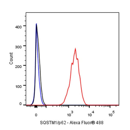 SQSTM1/p62 Recombinant Rabbit mAb (S-R346)