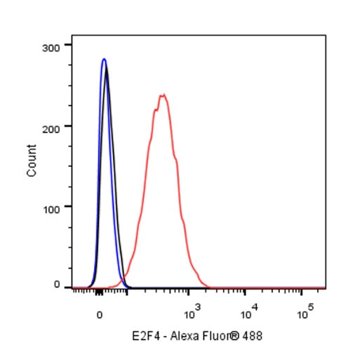 E2F4 Recombinant Rabbit mAb (S-586-214)