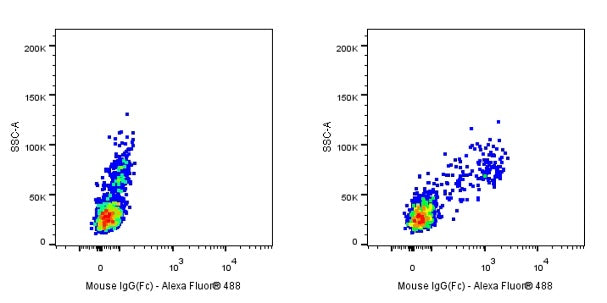 Human FcR Blocking Reagent