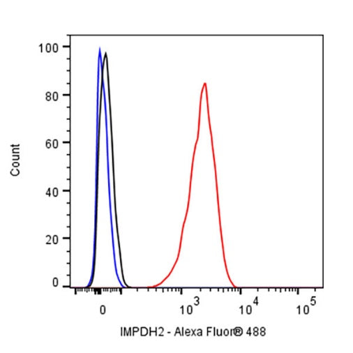 IMPDH2 Rabbit Polyclonal Antibody