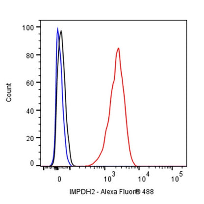 IMPDH2 Rabbit Polyclonal Antibody