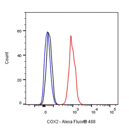 COX2 Recombinant Rabbit mAb (SDT-380-259)