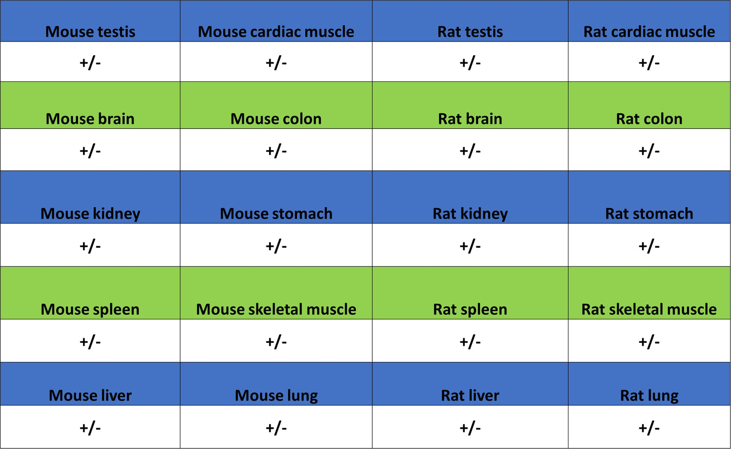 TRIM21 Mouse mAb (S-M0045)