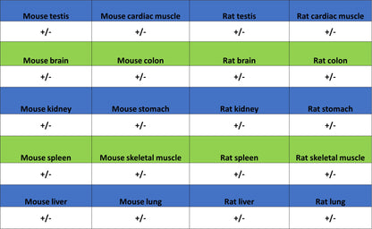 TRIM21 Mouse mAb (S-M0045)