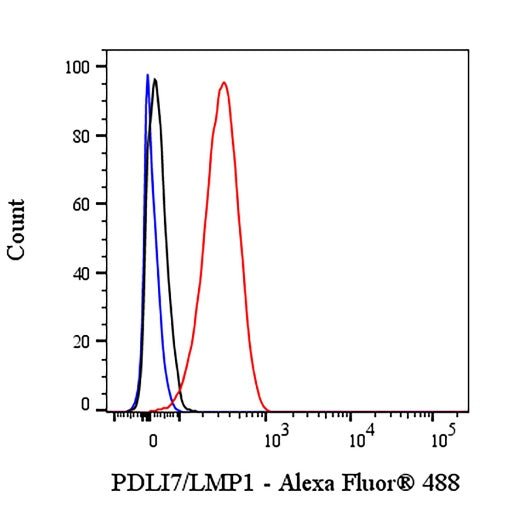PDLI7/LMP1 Recombinant Rabbit mAb (S-2150-68)