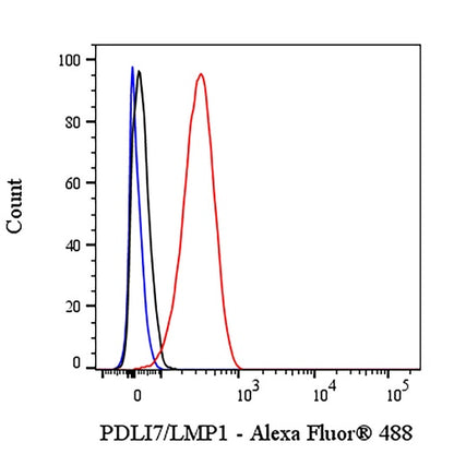 PDLI7/LMP1 Recombinant Rabbit mAb (S-2150-68)