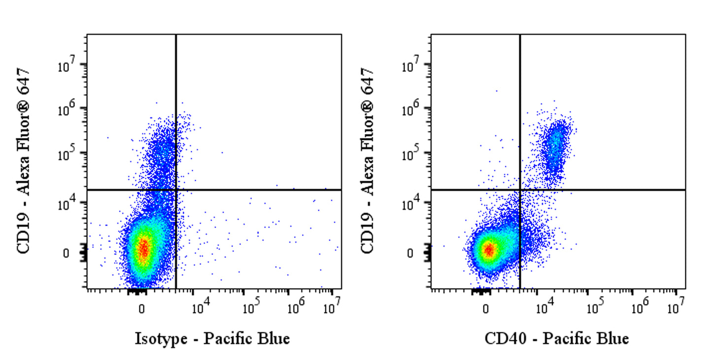 Pacific Blue Mouse Anti-Human CD40 Antibody (S-3799)