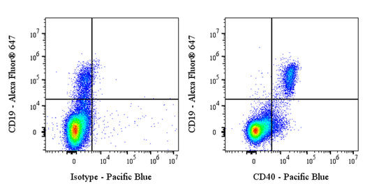 Pacific Blue Mouse Anti-Human CD40 Antibody (S-3799)