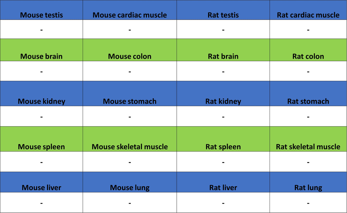 KLK5 Recombinant Rabbit mAb (S-4238-55)