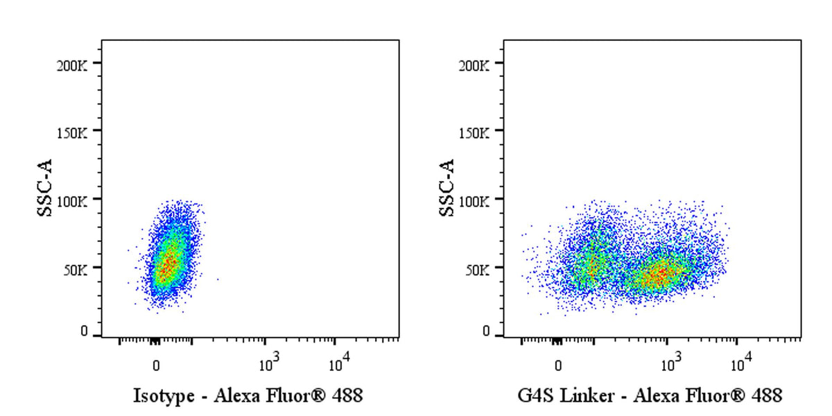 G4S Linker Recombinant Rabbit mAb (Alexa Fluor® 488 Conjugate) (S-711-23)