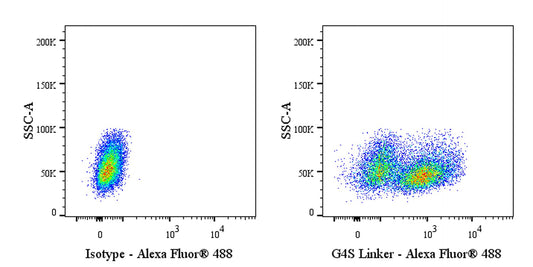 G4S Linker Recombinant Rabbit mAb (Alexa Fluor® 488 Conjugate) (S-711-23)