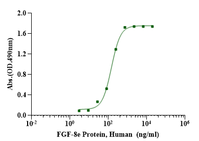 FGF-8e Protein, Human