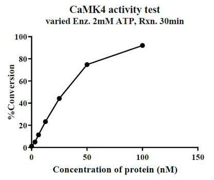 CaMK4 GST Tag Protein, Human