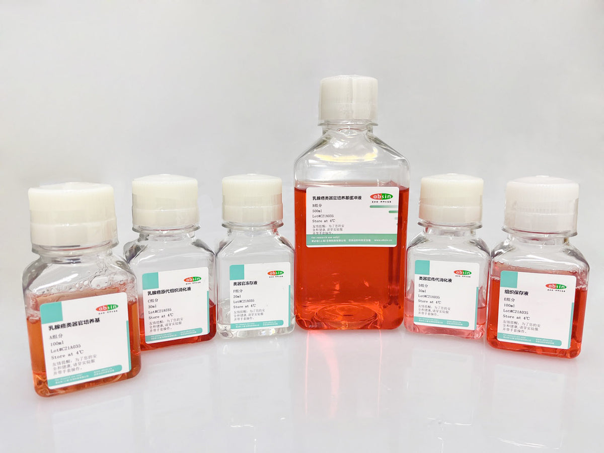 Human Breast Cancer Organoid Culture Medium Kit