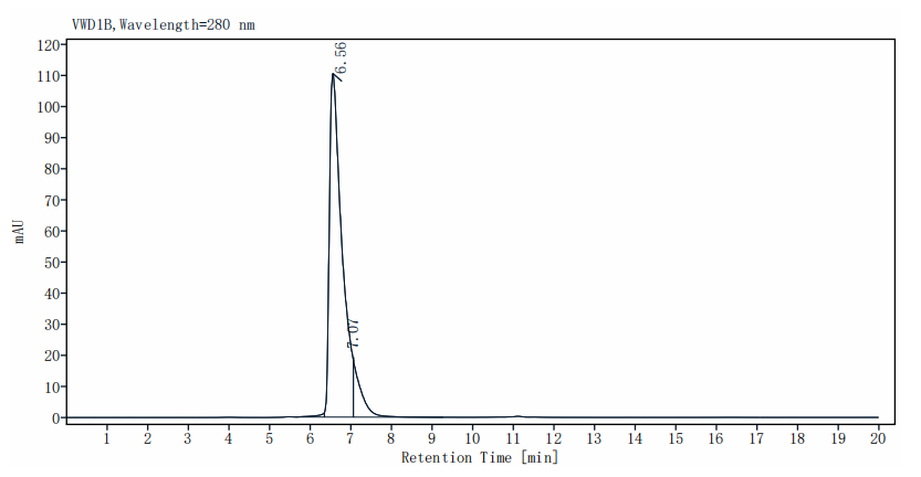 ALCAM/CD166 His Tag Protein, Human