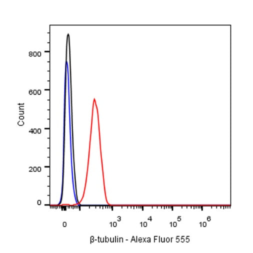 β-tubulin Recombinant Rabbit mAb (Alexa Fluor®555 Conjugate) (S-312-113)