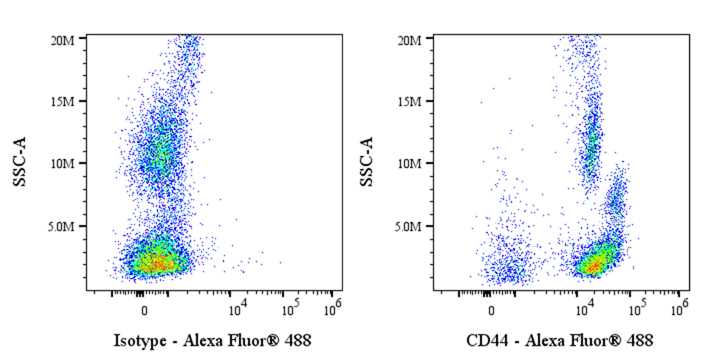 Alexa Fluor® 488 Rat Anti-Mouse/Human CD44 Antibody (IM7)