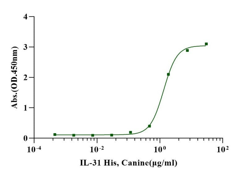 IL-31 Protein, Canine