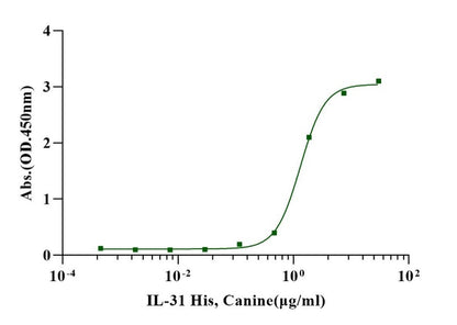 IL-31 Protein, Canine