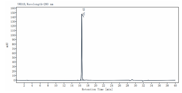 IL-12 Protein,Mouse