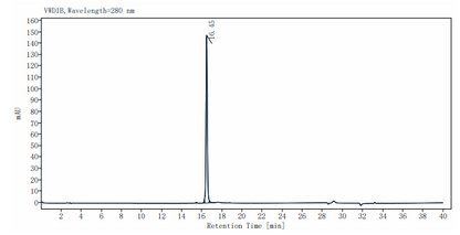 IL-12 Protein,Mouse