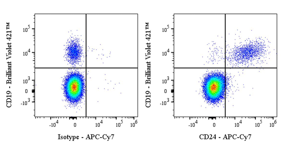 APC-Cy7 Mouse Anti-Human CD24 Antibody (ML5)