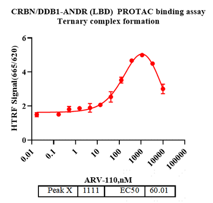 ANDR(LBD) Protein, Human