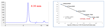 CDK2 Protein