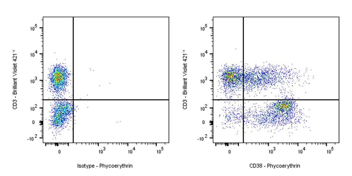 PE Mouse Anti-Human CD38 Antibody (HB7)