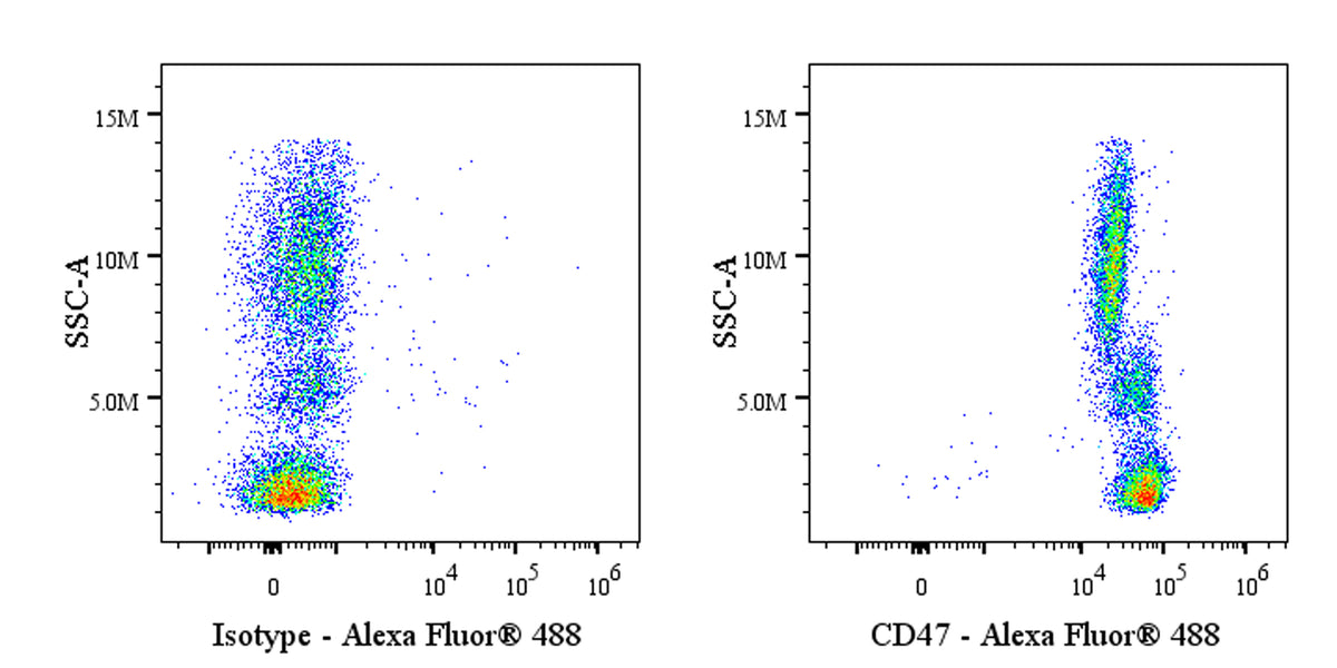 Mouse Anti-Human CD47 Antibody (S-3383)