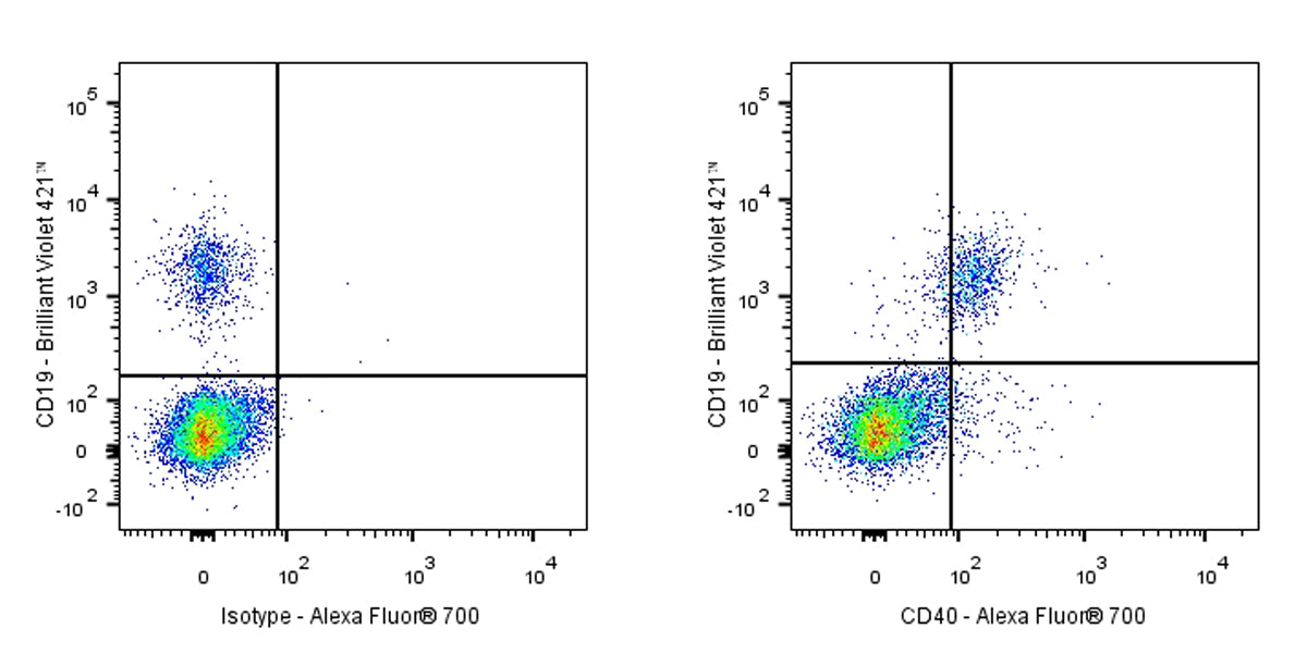 Alexa Fluor® 700 Mouse Anti-Human CD40 Antibody (HI40a)