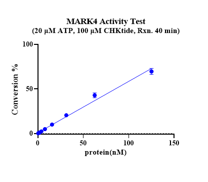 MARK4 Protein, Human