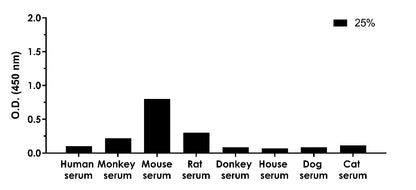 Human/Monkey/Mouse/Rat Amyloid Beta (aa1-42) Serum & Culture Media OneStep ELISA Kit