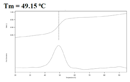 CDK2 Protein