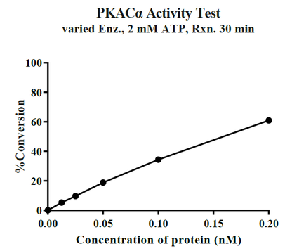 PRKACA(PKACα) GST Tag Protein, Human