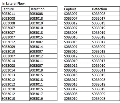 SARS-CoV-2 Nucleocapsid Protein Recombinant Rabbit mAb (SDT-021-7)
