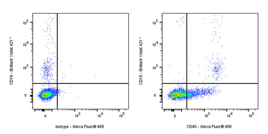Mouse Anti-Human CD40 Antibody (G28.5)