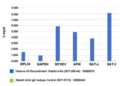 Histone H3 Recombinant Rabbit mAb (SDT-266-44)