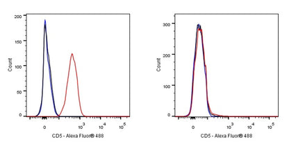 CD5 Rabbit Polyclonal Antibody
