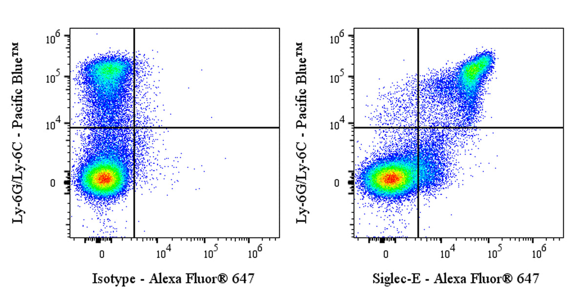 Alexa Fluor® 647 Rat Anti-Mouse Siglec-E Antibody (S-3881)