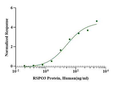 RSPO3 Protein, Human
