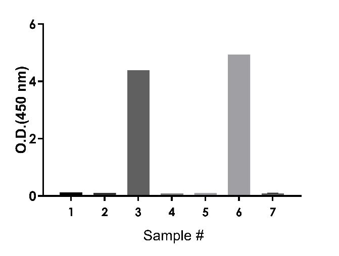 Human IgA OneStep ELISA Kit