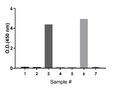 Human IgA OneStep ELISA Kit