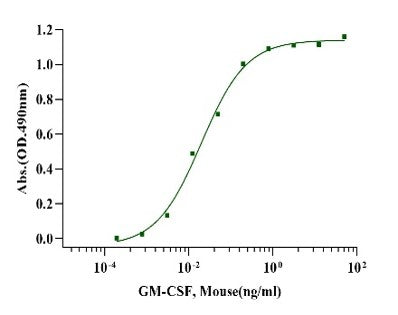 GM-CSF Protein, Mouse