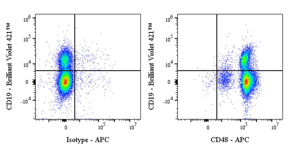 APC Armenian hamster Anti-Mouse CD48 Antibody (HM48-1)