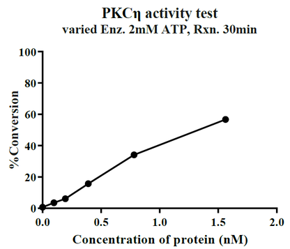 PRKCH(PKCη) GST Tag Protein, Human