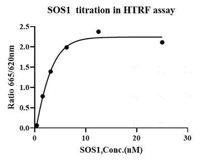 SOS1, GST Tag Protein