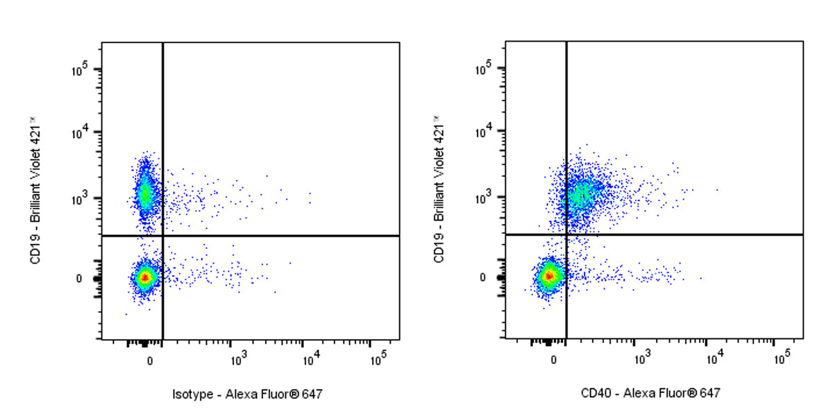 Alexa Fluor® 647 Rat Anti-Mouse CD40 Antibody (FGK4.5)